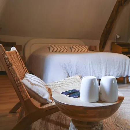 Bed & Breakfast Manoir Du Moulinet Château-Gontier