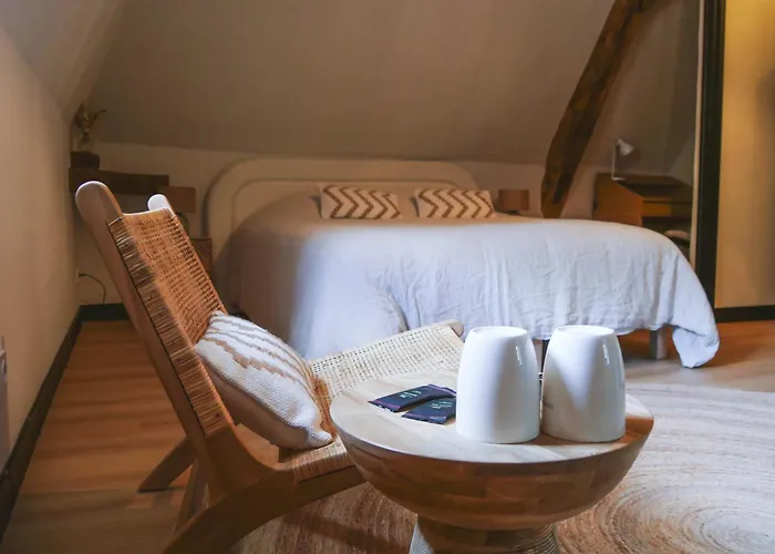 Bed and breakfast Manoir Du Moulinet Château-Gontier